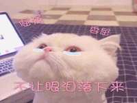 雄治大通（北京）信息服务有限公司