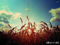 雄治大通（北京）信息服务有限公司