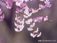 雄治大通（北京）信息服务有限公司