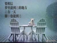 雄治大通（北京）信息服务有限公司