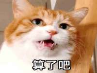 雄治大通（北京）信息服务有限公司