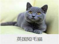 雄治大通（北京）信息服务有限公司
