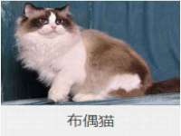 雄治大通（北京）信息服务有限公司