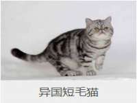 雄治大通（北京）信息服务有限公司