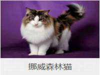 雄治大通（北京）信息服务有限公司