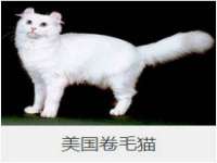 雄治大通（北京）信息服务有限公司