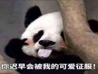 雄治大通（北京）信息服务有限公司