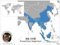 雄治大通（北京）信息服务有限公司