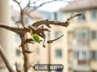 雄治大通（北京）信息服务有限公司