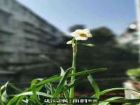 雄治大通（北京）信息服务有限公司