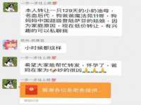 雄治大通（北京）信息服务有限公司