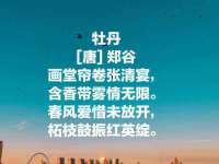 雄治大通（北京）信息服务有限公司