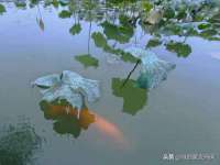 雄治大通（北京）信息服务有限公司