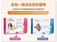 雄治大通（北京）信息服务有限公司