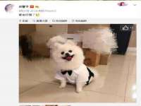 雄治大通（北京）信息服务有限公司