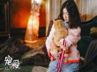 雄治大通（北京）信息服务有限公司