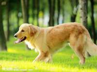 雄治大通（北京）信息服务有限公司