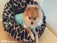 雄治大通（北京）信息服务有限公司