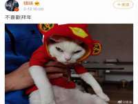 雄治大通（北京）信息服务有限公司