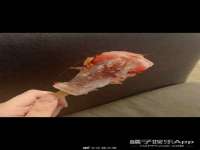 雄治大通（北京）信息服务有限公司